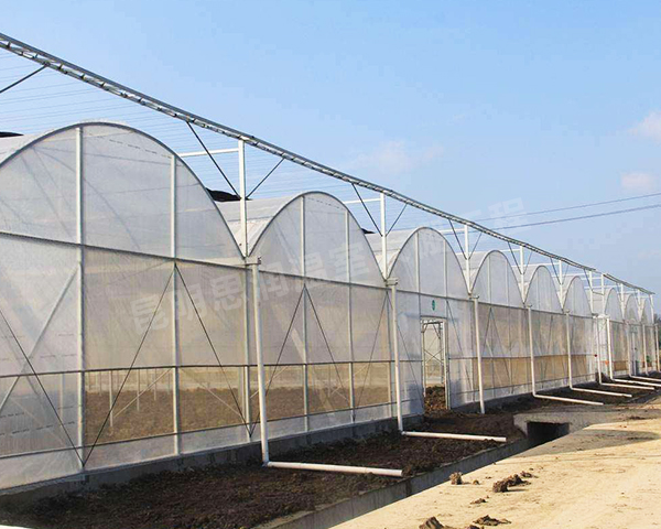 钢架温室大棚建设
