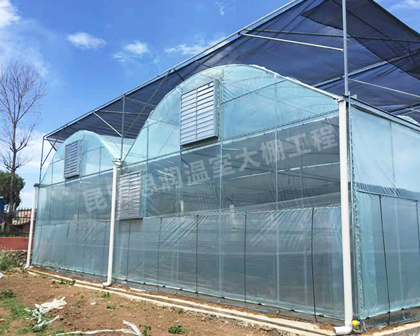 连栋温室智能大棚